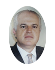 Dr. Andrés Palomar Lever 2009-2011